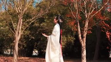 古风美女漫步在枫林中人像实拍视频慢镜头视频的预览图